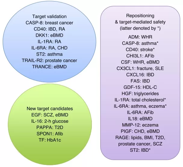 Protein–trait relationships that support target validation